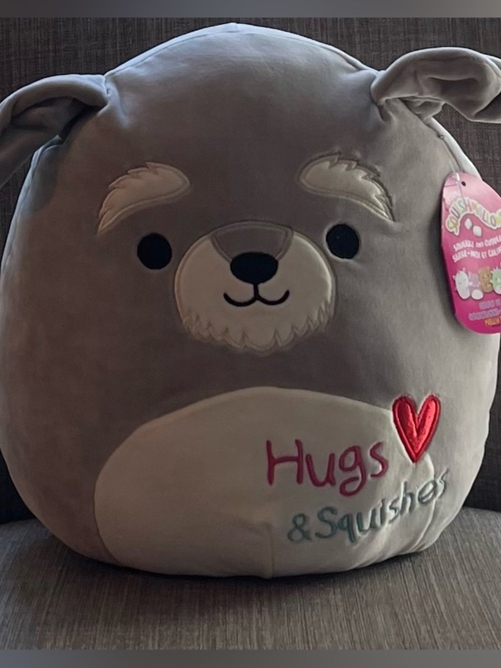 NWT Squishmallows 12” Shaun, the schnauzer, valentines hugs and squishes
